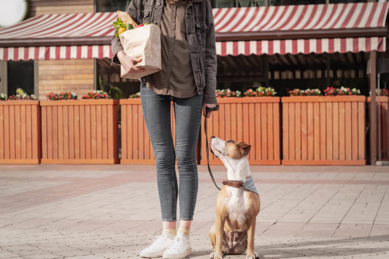 Einkaufsberatung vor Ort Hundefutter